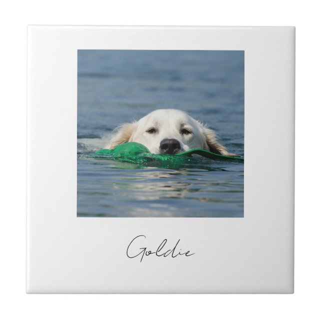 Custom print personalized ceramic dog photo fliese (Vorderseite)
