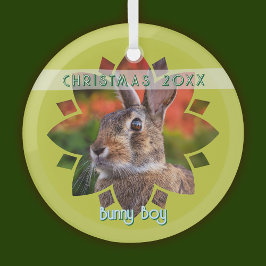 Custom Rabbit Photo on Yellow Green Ornament Aus Glas