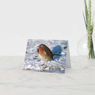 Custom Robin in Snow Feiertagskarte