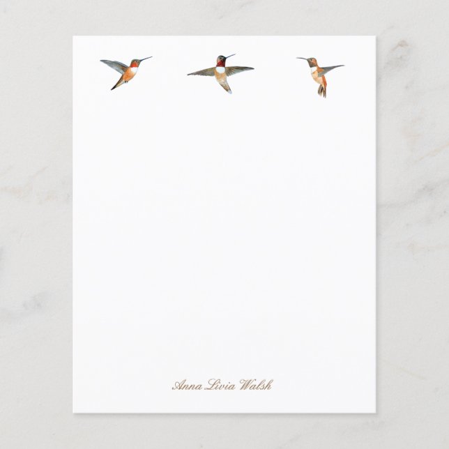 Custom Rufous Hummingbirds Stationery Paper (Vorderseite)