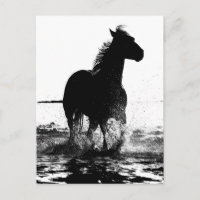 Custom Running Horse Moderne Schwarz & Weiß Pop Ku