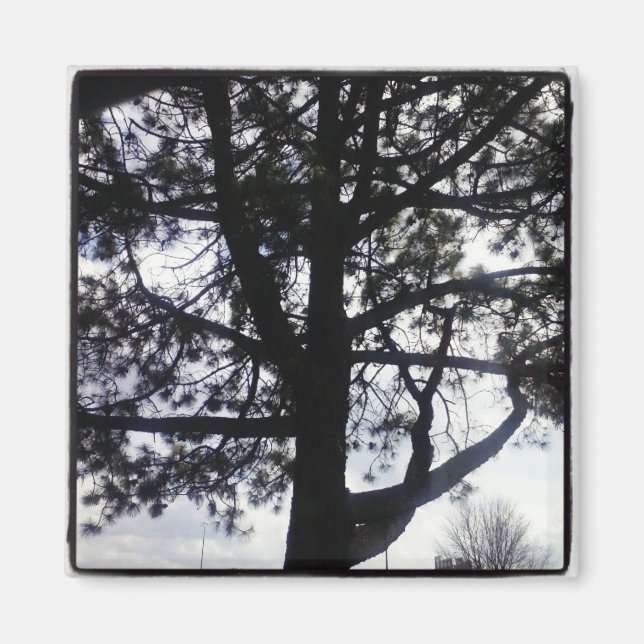 Custom Shadowy Pine Tree Square Magnet (Vorne)