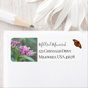 Custom Swamp Milkweed Foto Native Wildblume