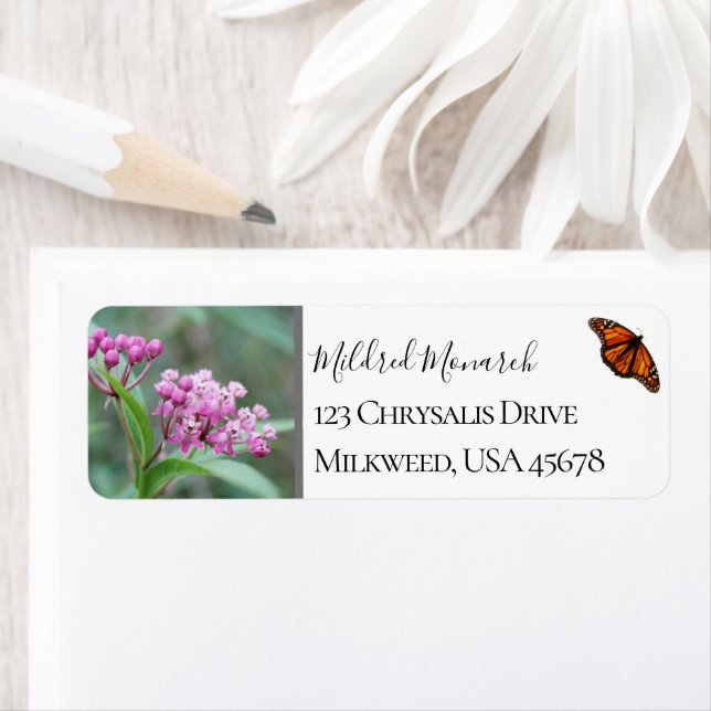 Custom Swamp Milkweed Foto Native Wildblume (Insitu)