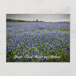 Custom Text Blue Spring Bluebonnets Texas Blume Postkarte