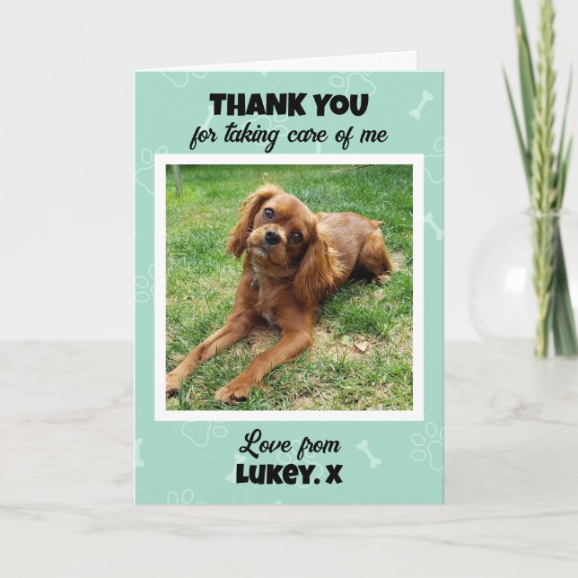 Custom Vet Tech Pet Care Foto Vielen Dank Karte (Vorderseite)