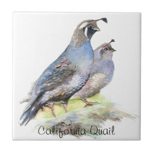 Custom Watercolor California Quartier Vögel Fliese