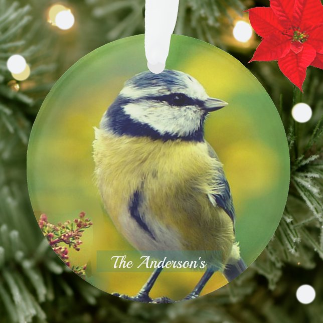 Custom Yellow breasted Blue Chat Foto Ornament (Von Creator hochgeladen)