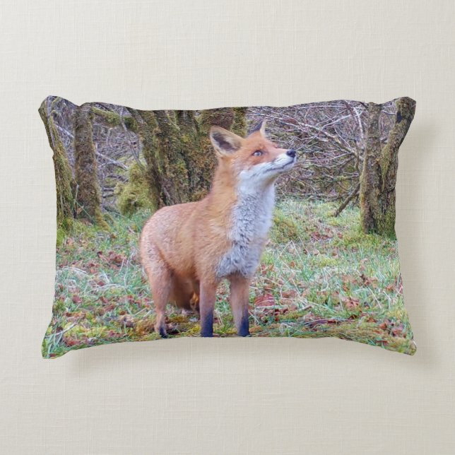 Customisable Red Fox Looking Up Cushion Dekokissen (Vorderseite)