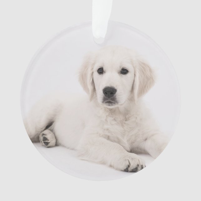 customisé avec la photo de animal de compagnie mém (devant)