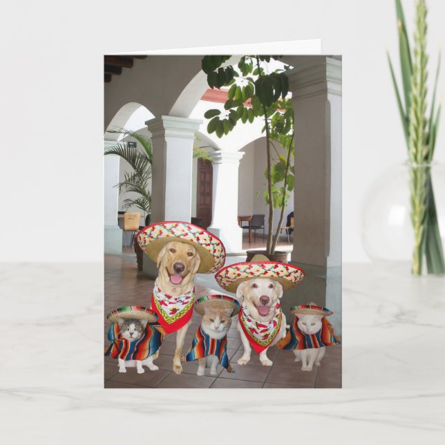 Customizable Cinco de Mayo Karte (Vorderseite)