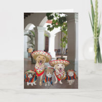 Customizable Cinco de Mayo