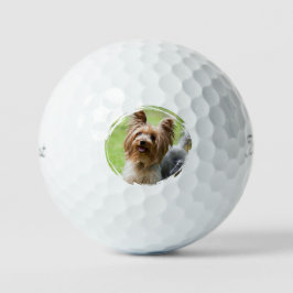 Customizable Pet Photo Pet Parents Golf Lover Gift Golfball