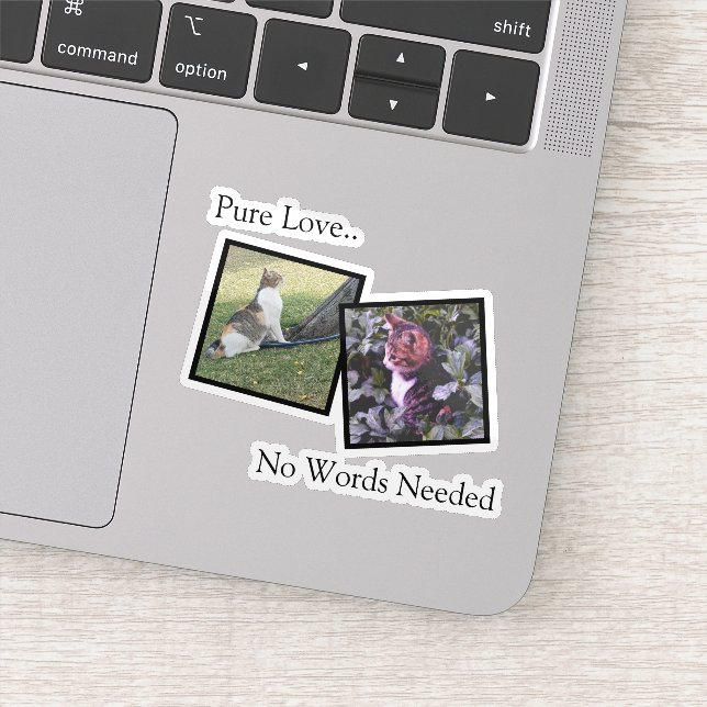 Customizable Pet Photo vinyl Sticker (Détail)