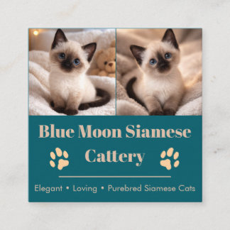 Customizable Siamese Cattery Business Card  Quadratische Visitenkarte