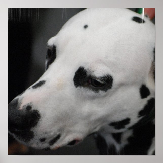 Customize Product Poster (Vorne)