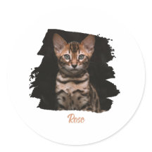 Customized pet photo with name