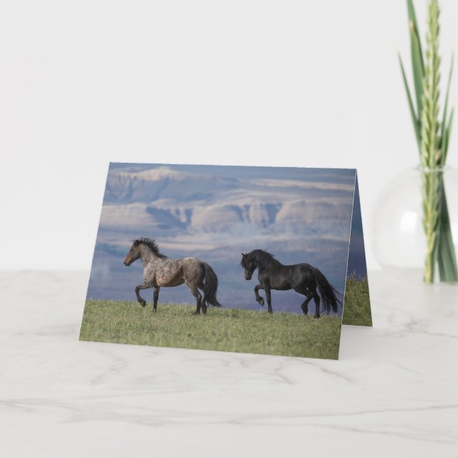 Custy und Galaxy - Grußkarte für WildPferde Karte (Vorderseite)