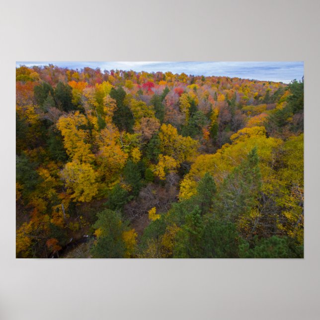 Cut River Tal, Michigan Poster (Vorne)