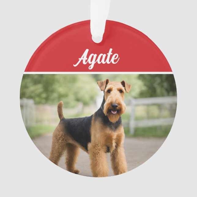Cute Airedale Terrier Chien de Noël (devant)
