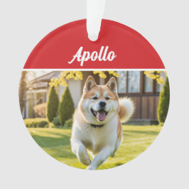 Cute Akita Dog Holiday Christmas Photo