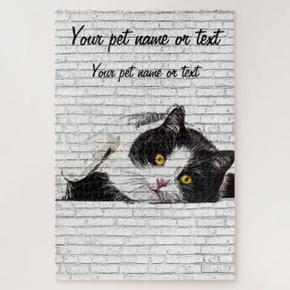 Cute and Charming, Black and White Cat