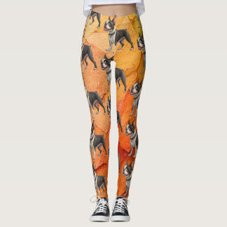 Cute and Colorful Boston Terrier Leggings