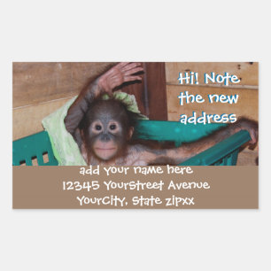 Cute Animal Nouvelle adresse Étiquettes