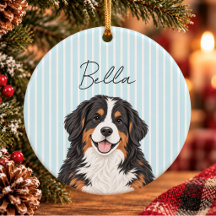 Cute aqua Striped Bernese Mountain Dog