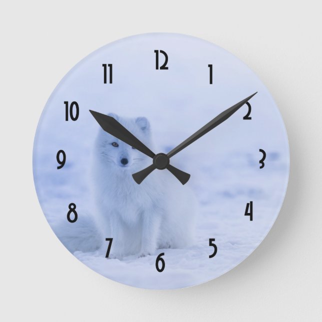 Cute Arctic Fox on Snowy Winter Background Runde Wanduhr (Vorderseite)