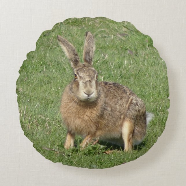 Cute assis lièvre fermer Coussin rond (Devant)