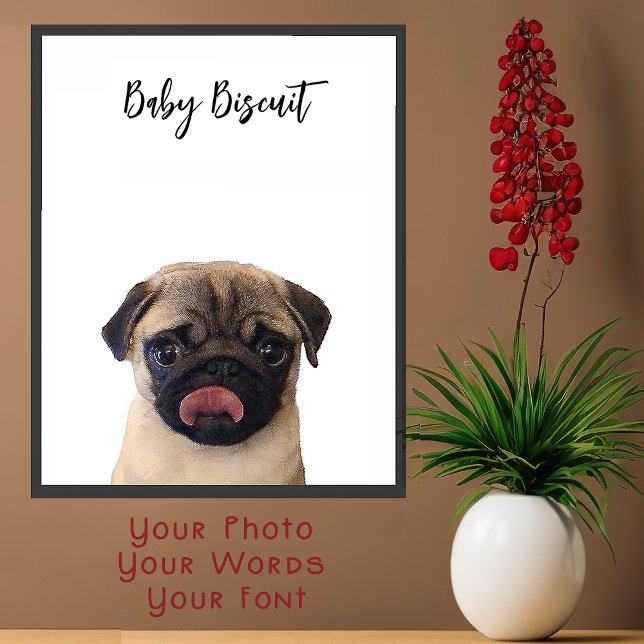 Cute Baby Biscuit Pug Portrait Poster (Von Creator hochgeladen)