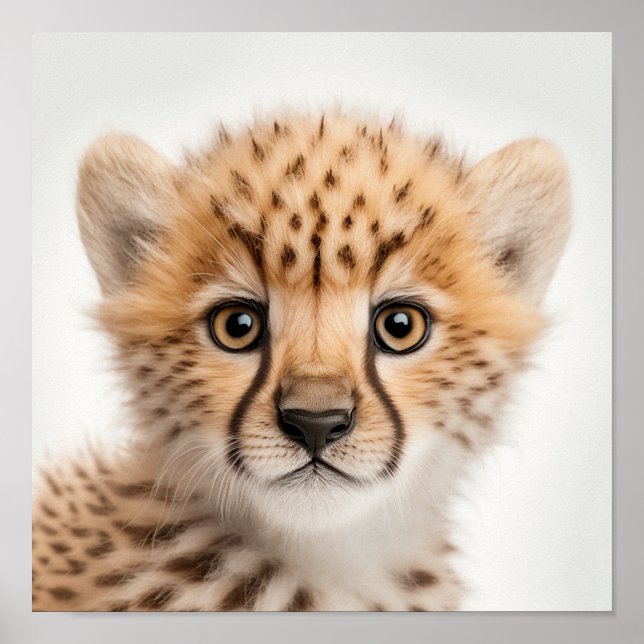 Cute Baby Cheetah Portrait | Square 1:1 Poster (Vorne)