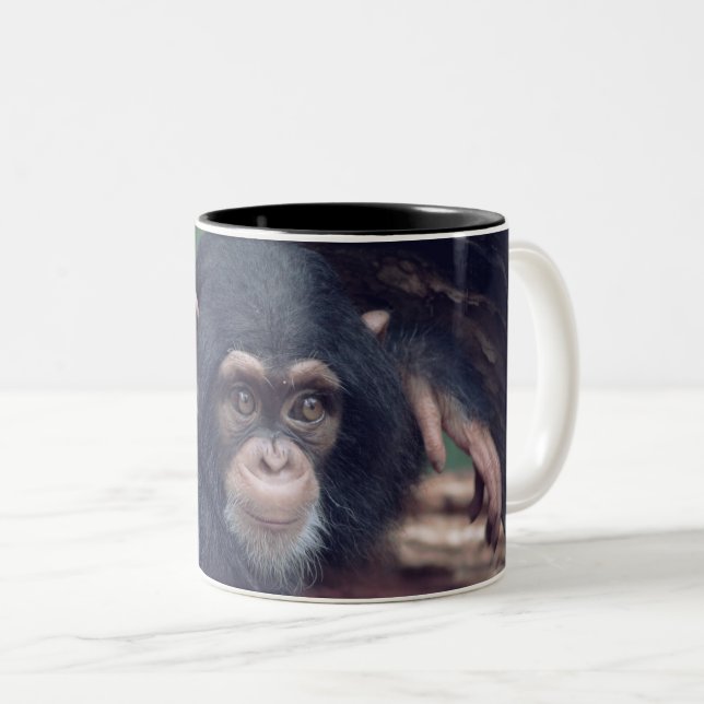 cute baby Chimpanzee Zweifarbige Tasse (VorderseiteRechts)