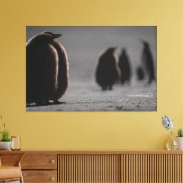 Cute Baby Penguin Chicks | unique Photo Art Leinwanddruck