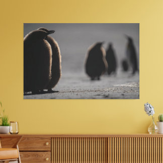 Cute Baby Penguin Chicks | unique Photo Art Leinwanddruck