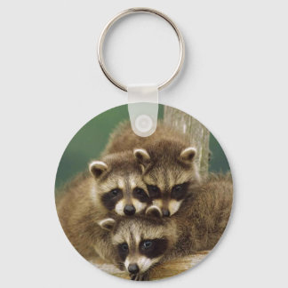Cute Baby Raccoon Schlüsselanhänger