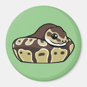 Cute Ball Python Pet Serpent Dessin Aimant Réfrigé