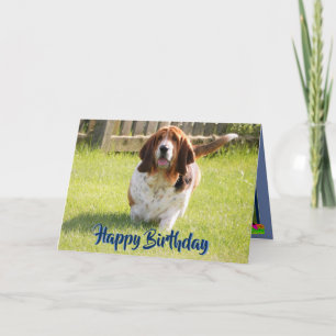 Cute Basset Hound Sur La Carte D'Anniversaire Drôl