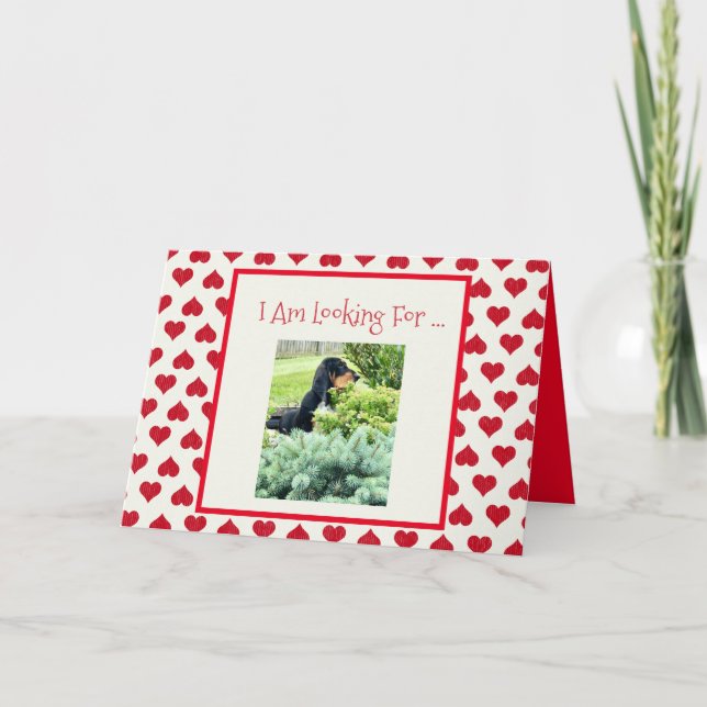 Cute Basset sur la carte amusante de Saint Valenti (Devant)