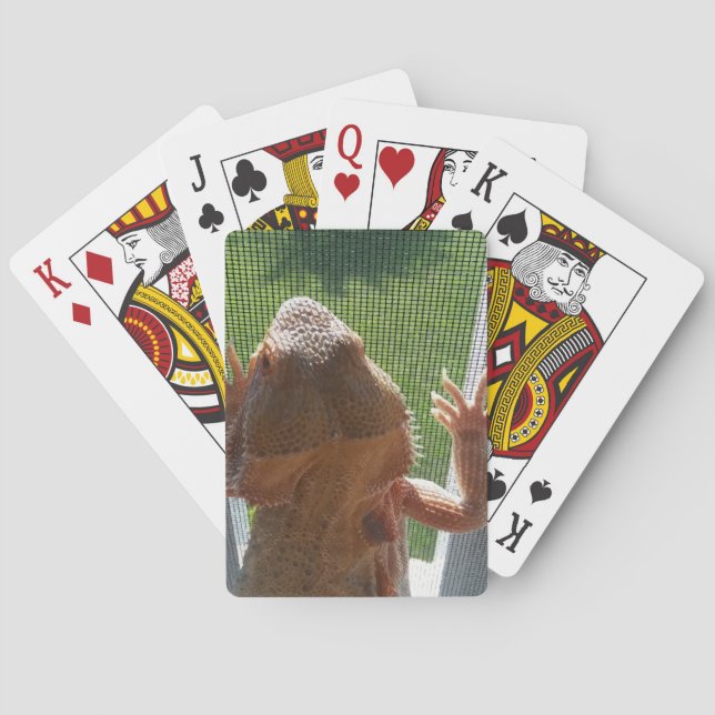 Cute Bearded Dragon Foto Print Spielkarten (Rückseite)