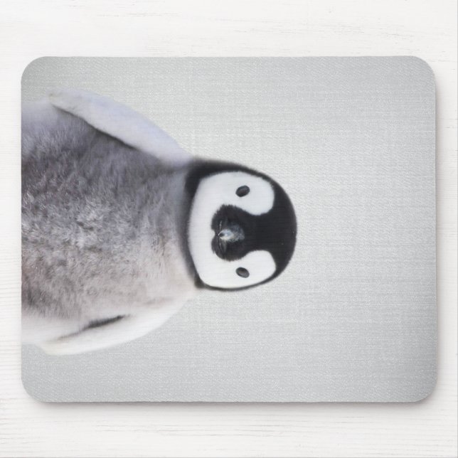 Cute Black And White Baby Penguin Mousepad (Vorne)