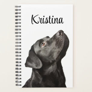 Cute Black Lab Chien Chien Chien Aimant Labrador R