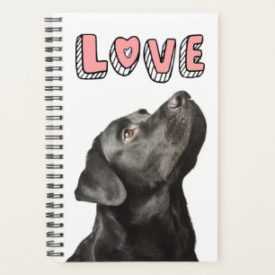 Cute Black Lab Chien Chien Chien Aimant Labrador R
