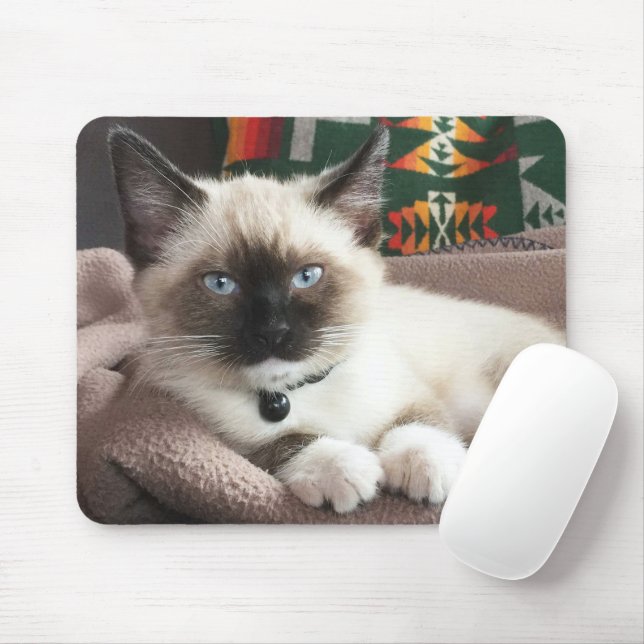 Cute Blue-Eyed Siamese Kitten Foto Mousepad (Mit Mouse)