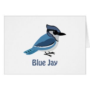 Cute Blue Jay