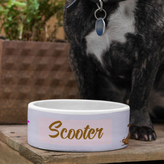 Cute brown dog heart plant  napf