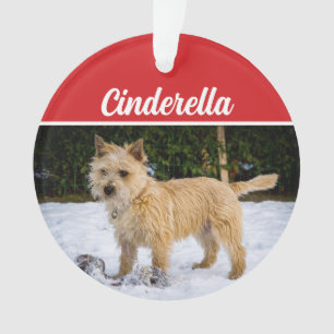 Cute Cairn Terrier Dog Fête de Noël Photo