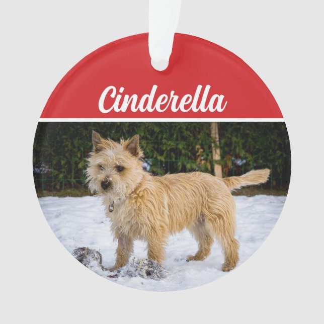 Cute Cairn Terrier Dog Fête de Noël Photo (devant)