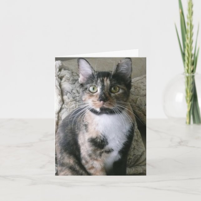 Cute Calico Chat, Purrfect Carte Anniversaire (Devant)
